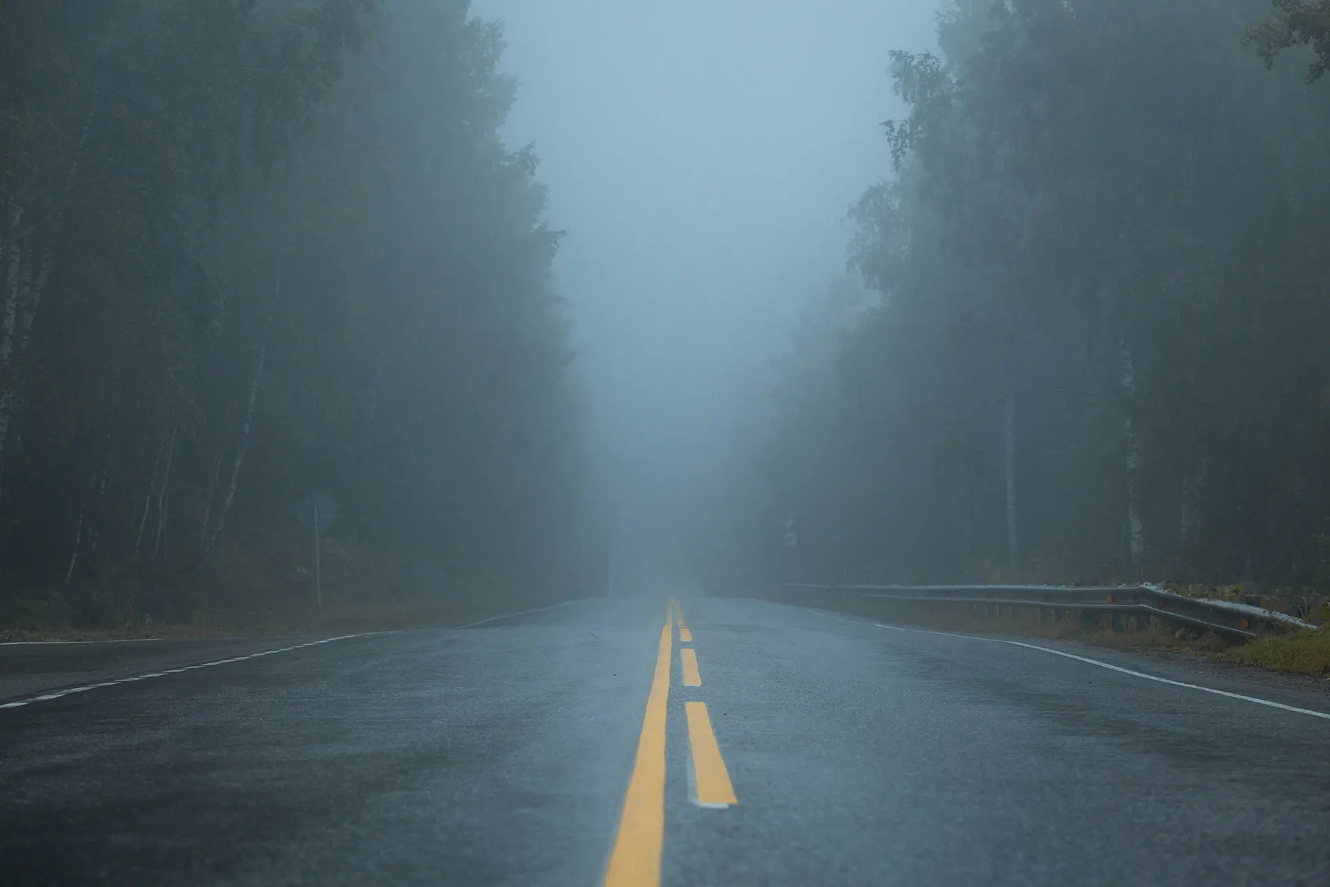 Nebelfahrten: So Meistern Sie Die Herausforderung