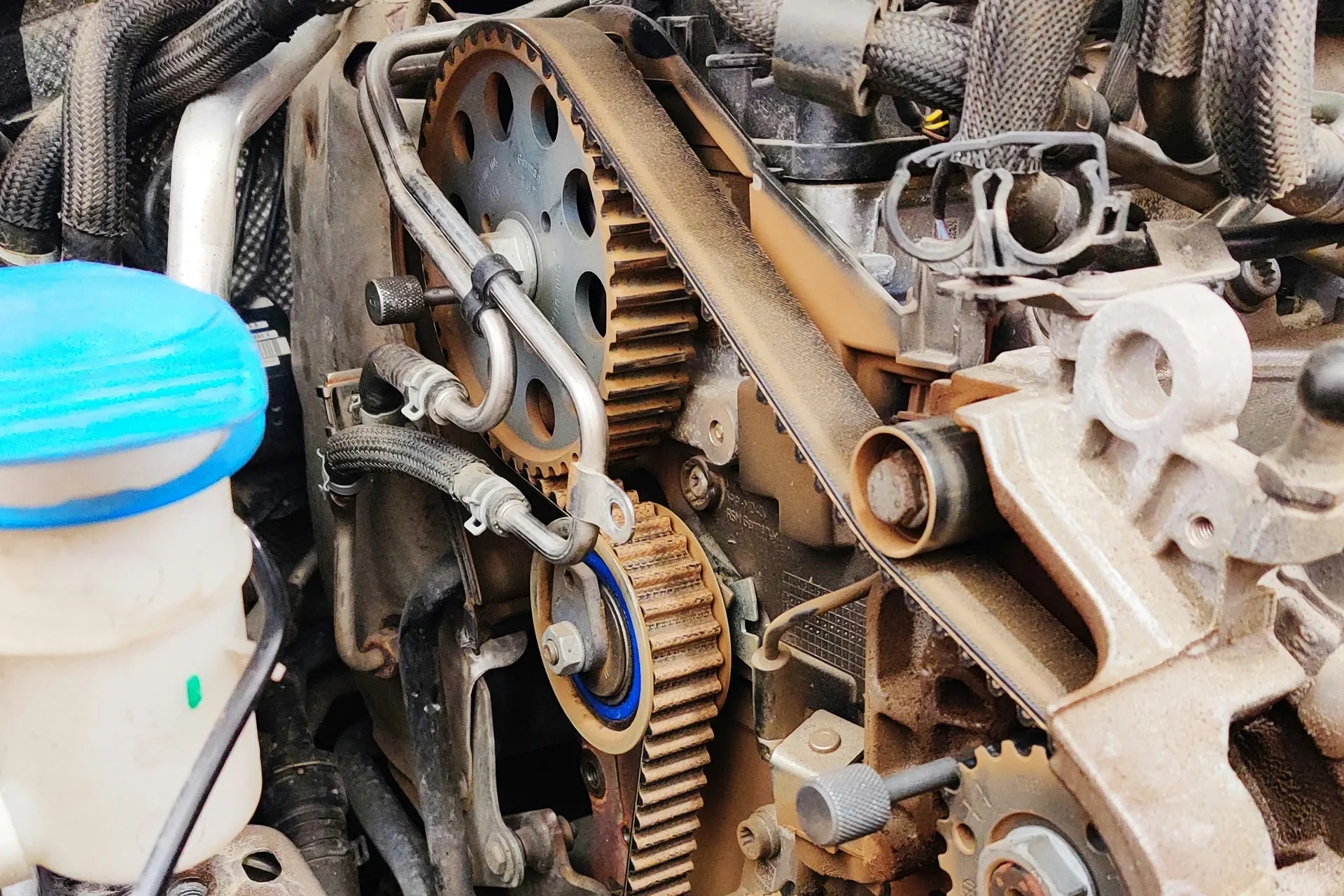 Ford EcoBoost Zahnriemen Probleme Ursachen und Lösungen