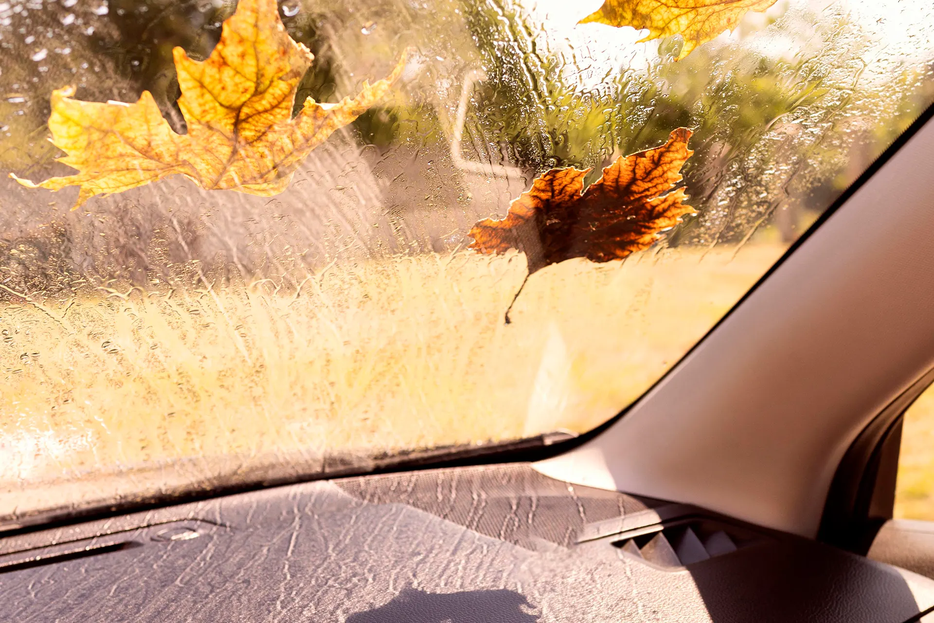 Bereit für den Herbst? So bereiten Sie Ihr Fahrzeug optimal vor
