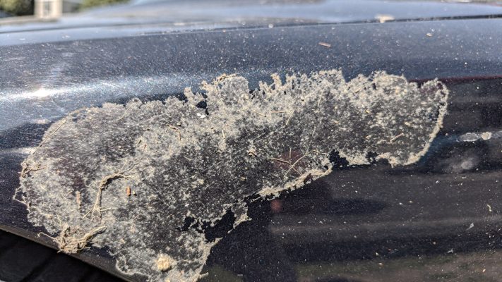 Das Bild zeigt deutlich die Herausforderung, die im Artikel behandelt wird: lästige Kleberückstände auf einem Auto.