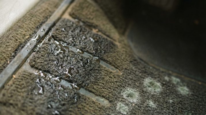 Die Detailaufnahme erzeugt eine taktile und visuelle Sensibilisierung für die oft übersehene Feuchtigkeit, die zu Schimmel führen kann, und macht die Problematik greifbar.