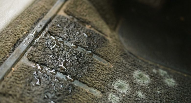 Die Detailaufnahme erzeugt eine taktile und visuelle Sensibilisierung für die oft übersehene Feuchtigkeit, die zu Schimmel führen kann, und macht die Problematik greifbar.